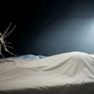 Confirman segundo caso de dengue en Nuevo Laredo; hay 12 casos sospechosos bajo vigilancia