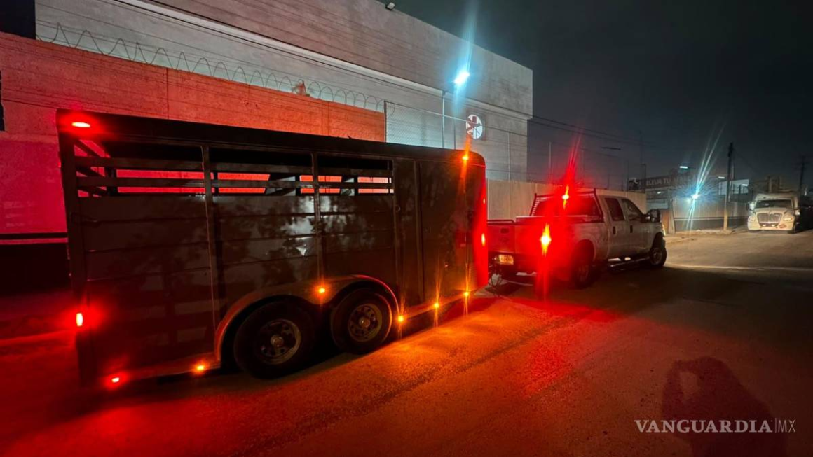Cae hombre con dos pistolas y 325 cartuchos en la carretera Saltillo-Matehuala