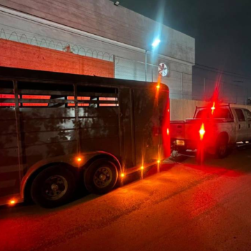 Cae hombre con dos pistolas y 325 cartuchos en la carretera Saltillo-Matehuala