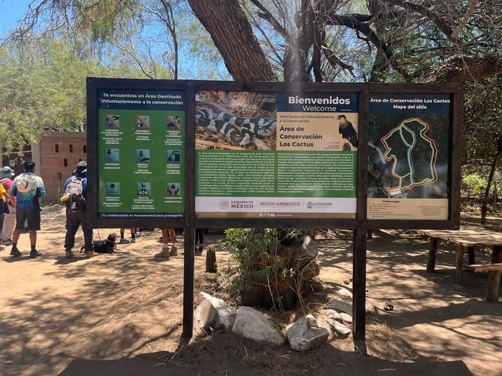 820934502_1696540115852266_1679940171104159413_n.jpg 🌵✨ El Ejido El Rosario (Las Gallinas) transforma la conservación de su patrimonio natural en una oportunidad para impul…